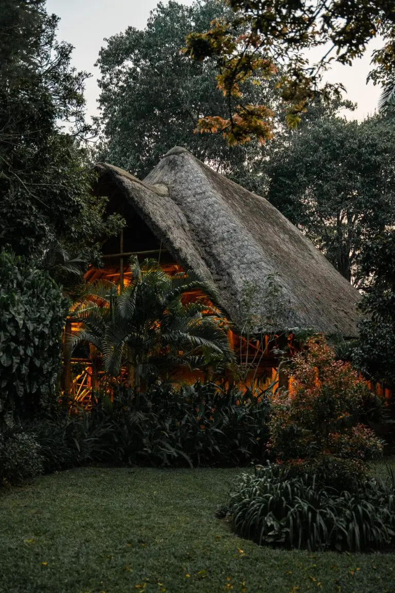 cabin in the woods