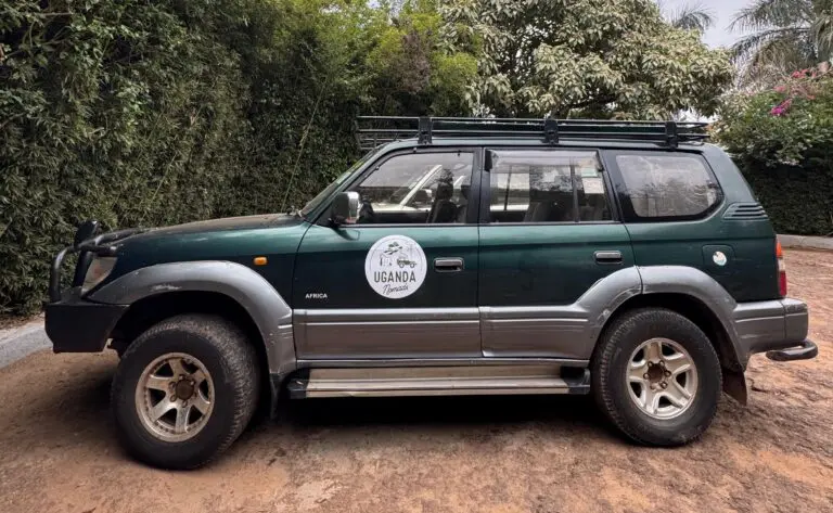 your car during your Uganda Nomads roadtrip