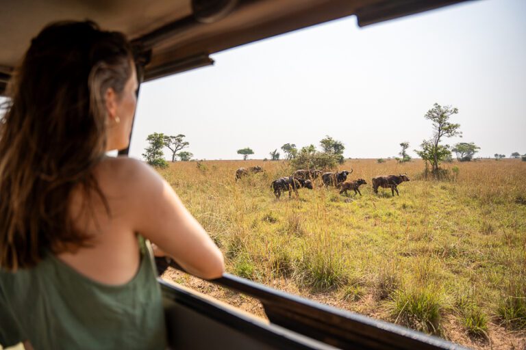 View from the car during your Uganda Nomads roadtrip