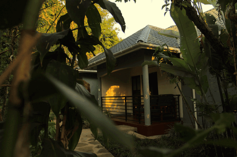 Kibale Forest lodge